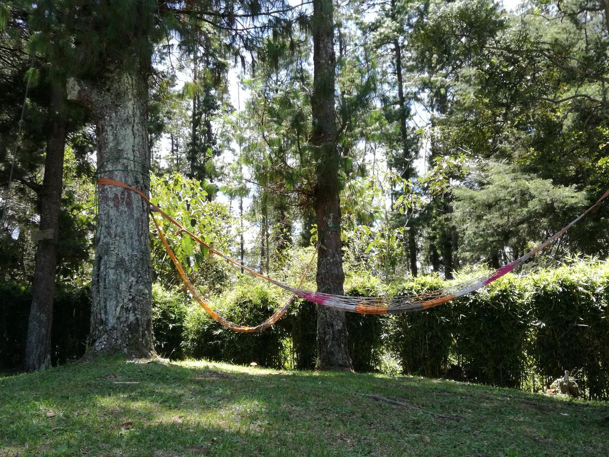 Al Bosque Hostel & Glamping Santa Elena  Buitenkant foto