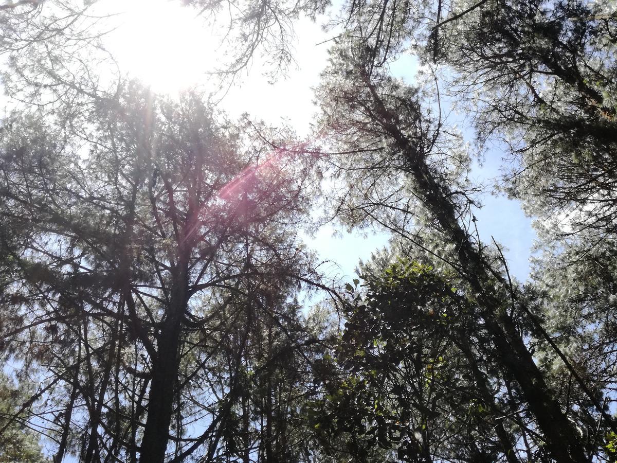 Al Bosque Hostel & Glamping Santa Elena  Buitenkant foto