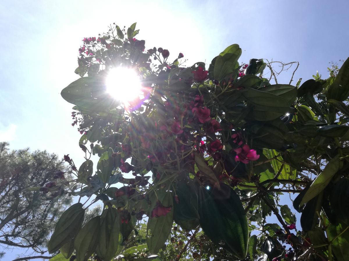 Al Bosque Hostel & Glamping Santa Elena  Buitenkant foto